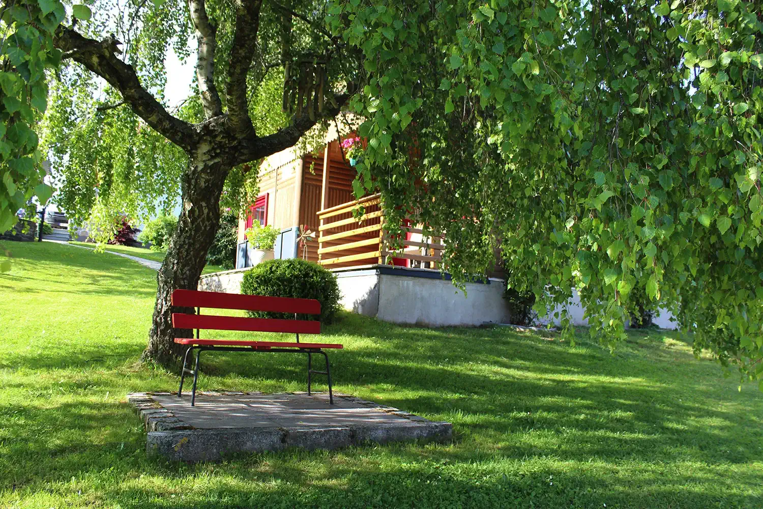Holzbank unter einem schattigen Baum mit Blick aufs Ferienhaus Gustl